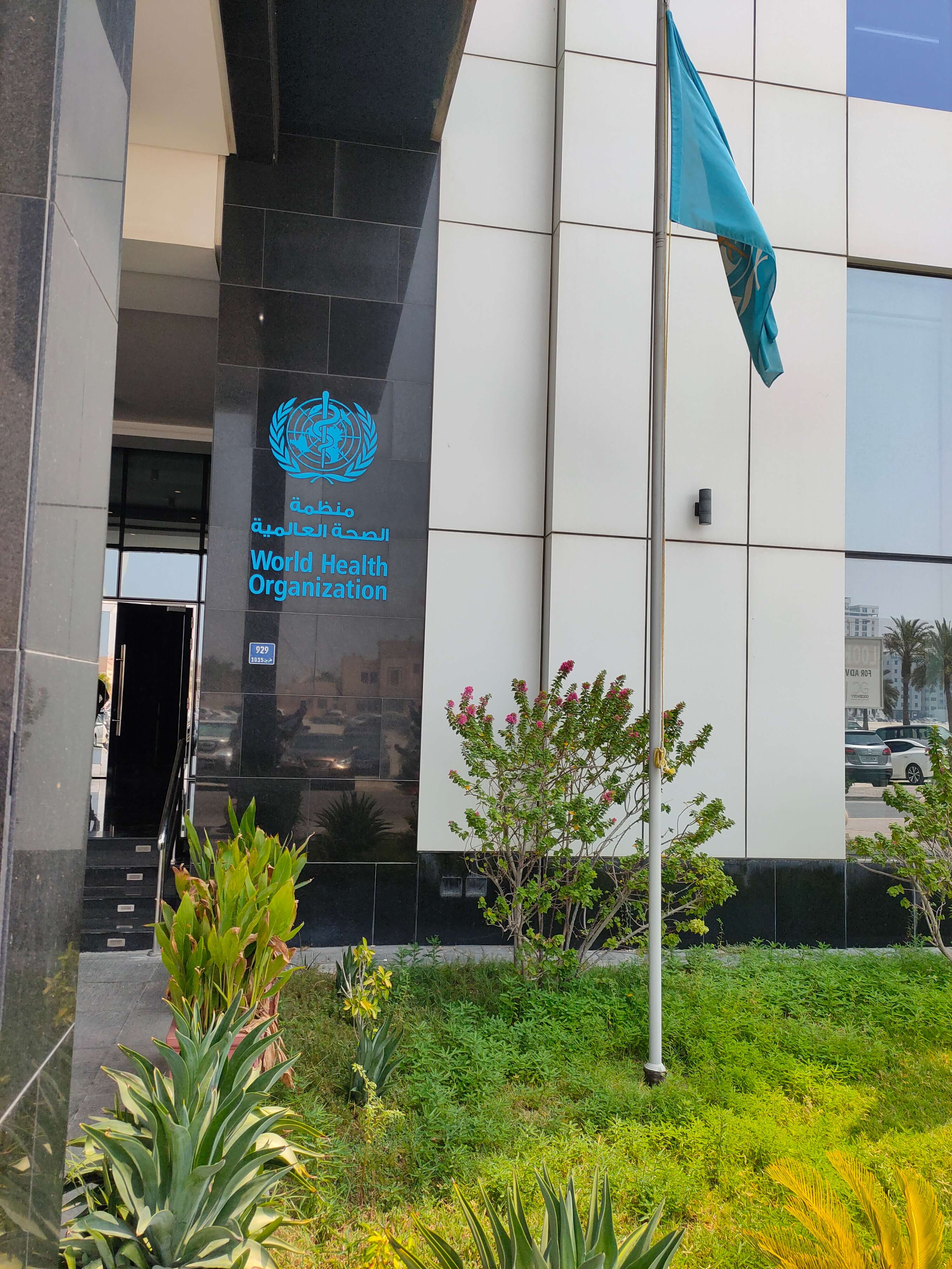 World Health Organization - Government Institution